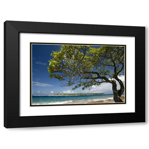 French Polynesia, Rangiroa Tree on the shore Black Modern Wood Framed Art Print with Double Matting by Kaveney, Wendy