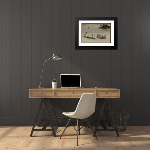 Carcass Island Steamer duck ducklings on beach Black Modern Wood Framed Art Print with Double Matting by Illg, Cathy and Gordon