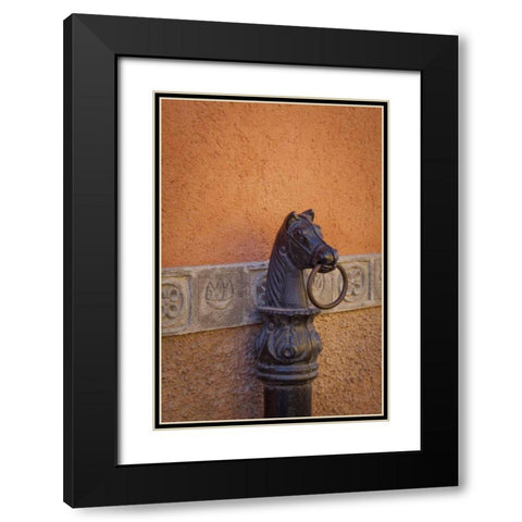 Mexico Horse ring, Guanajuato, Mexico Black Modern Wood Framed Art Print with Double Matting by Paulson, Don