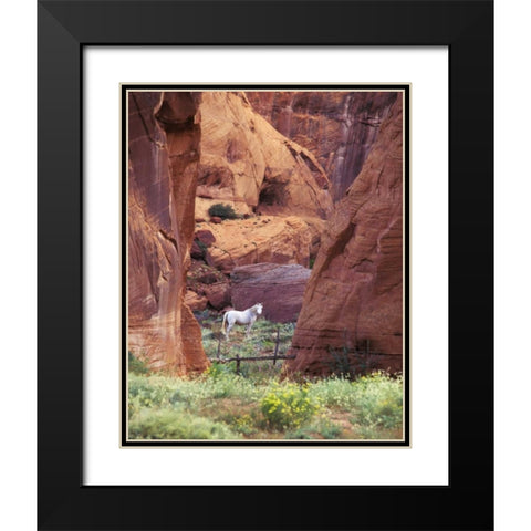 AZ, White Mts, Canyon de Chelly, White horse Black Modern Wood Framed Art Print with Double Matting by Rotenberg, Nancy