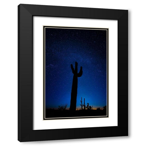 A giant saguaro cactus silhouettes in the clear Arizona evening Black Modern Wood Framed Art Print with Double Matting by SMO