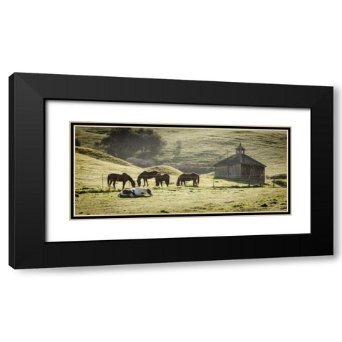 USA, California, Olema Horses and old barn Black Modern Wood Framed Art Print with Double Matting by Paulson, Don