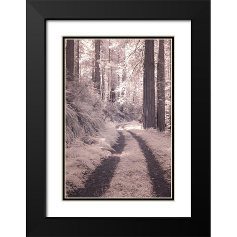 California Redwood National Park-infrared of Redwood forest along the old Pacific Highway Black Modern Wood Framed Art Print with Double Matting by Eggers, Terry
