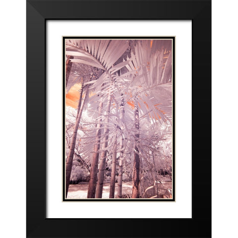 USA-Hawaii-Kauai-Infrared of palm trees of Kauai Black Modern Wood Framed Art Print with Double Matting by Eggers, Terry