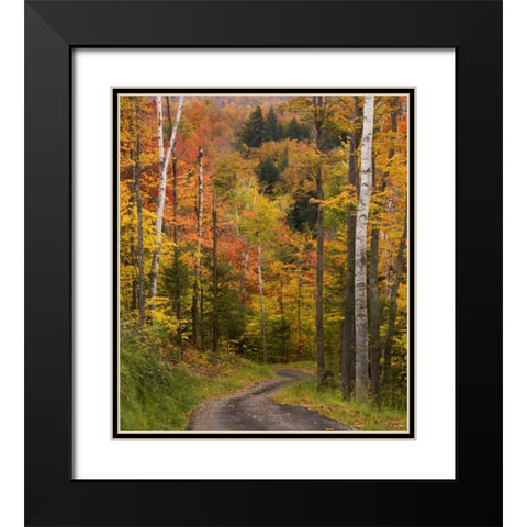 Maine, Bethel Winding lane through autumn trees Black Modern Wood Framed Art Print with Double Matting by Kaveney, Wendy