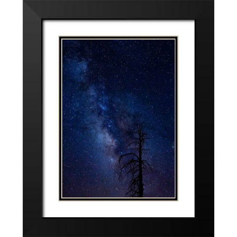 Milky way over the Carson National Forest-Tres Piedras-New Mexico Black Modern Wood Framed Art Print with Double Matting by Pryor-Luzier, Maresa