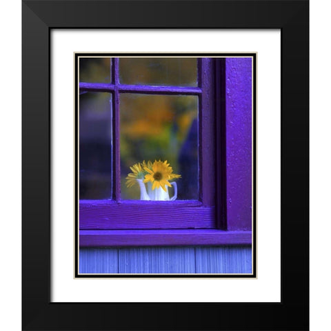 OR, Brownsville Sunflowers in a window Black Modern Wood Framed Art Print with Double Matting by Terrill, Steve