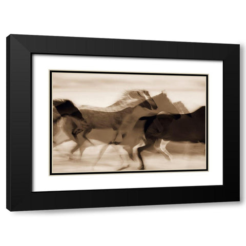Sepia abstract of wild mustangs (Equus caballus) running Oregon-USA Black Modern Wood Framed Art Print with Double Matting by Westmorland, Stuart