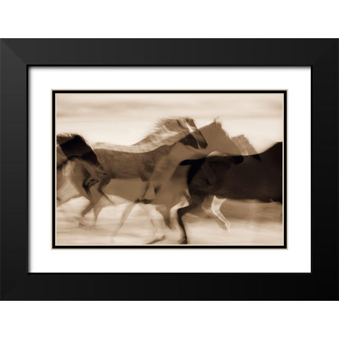 Sepia abstract of wild mustangs (Equus caballus) running Oregon-USA Black Modern Wood Framed Art Print with Double Matting by Westmorland, Stuart