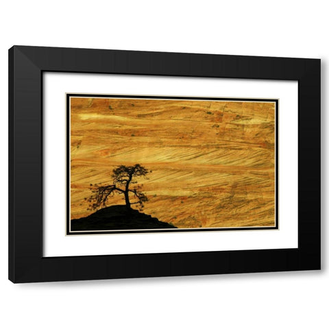 UT, Zion NP The silhouette of a small tree Black Modern Wood Framed Art Print with Double Matting by Kaveney, Wendy
