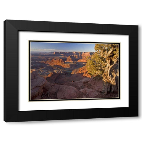 Utah, Dead Horse Point SP Sunrise on the park Black Modern Wood Framed Art Print with Double Matting by Illg, Cathy and Gordon