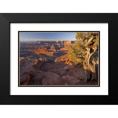 Utah, Dead Horse Point SP Sunrise on the park Black Modern Wood Framed Art Print with Double Matting by Illg, Cathy and Gordon