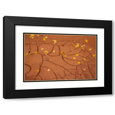 Utah, Capitol Reef Cracked mud and fall leaves Black Modern Wood Framed Art Print with Double Matting by Illg, Cathy and Gordon