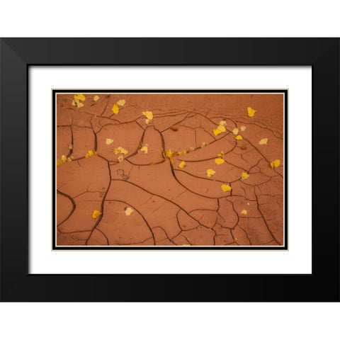 Utah, Capitol Reef Cracked mud and fall leaves Black Modern Wood Framed Art Print with Double Matting by Illg, Cathy and Gordon