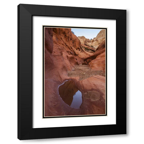 UT, Capitol Reef Lower Muley Twist Canyon pools Black Modern Wood Framed Art Print with Double Matting by Illg, Cathy and Gordon