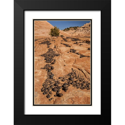 UT, Grand Staircase Escalante NM Moki marbles Black Modern Wood Framed Art Print with Double Matting by Illg, Cathy and Gordon