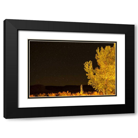 USA, Utah Stary night sky in autumn Black Modern Wood Framed Art Print with Double Matting by Illg, Cathy and Gordon