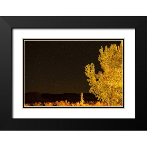 USA, Utah Stary night sky in autumn Black Modern Wood Framed Art Print with Double Matting by Illg, Cathy and Gordon