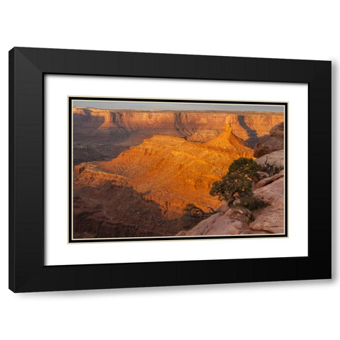 Utah, Dead Horse Point SP Sunrise on canyon Black Modern Wood Framed Art Print with Double Matting by Illg, Cathy and Gordon