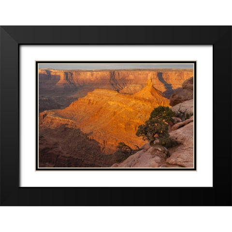Utah, Dead Horse Point SP Sunrise on canyon Black Modern Wood Framed Art Print with Double Matting by Illg, Cathy and Gordon