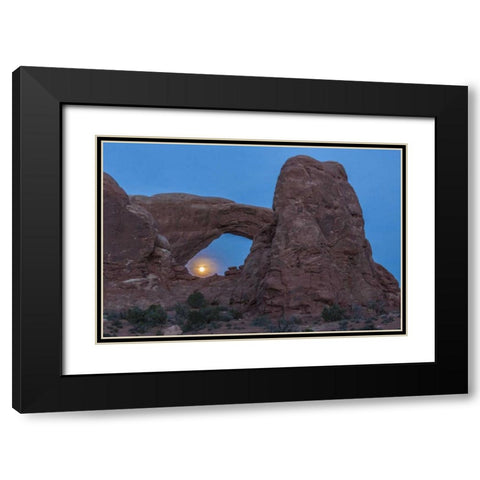 UT, Arches NP South Window arch and full moon Black Modern Wood Framed Art Print with Double Matting by Illg, Cathy and Gordon