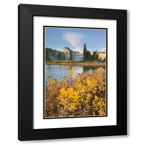 Heather Meadows in autumn Table Mountain is in the distance Black Modern Wood Framed Art Print with Double Matting by Majchrowicz, Alan
