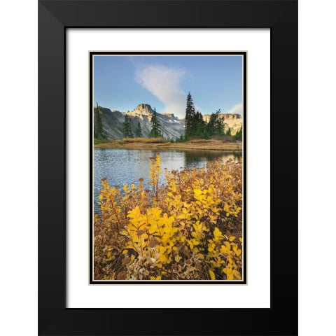 Heather Meadows in autumn Table Mountain is in the distance Black Modern Wood Framed Art Print with Double Matting by Majchrowicz, Alan
