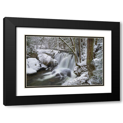 Whatcom Falls after fresh dusting of winter snow Whatcom Falls City Park-Bellingham Black Modern Wood Framed Art Print with Double Matting by Majchrowicz, Alan