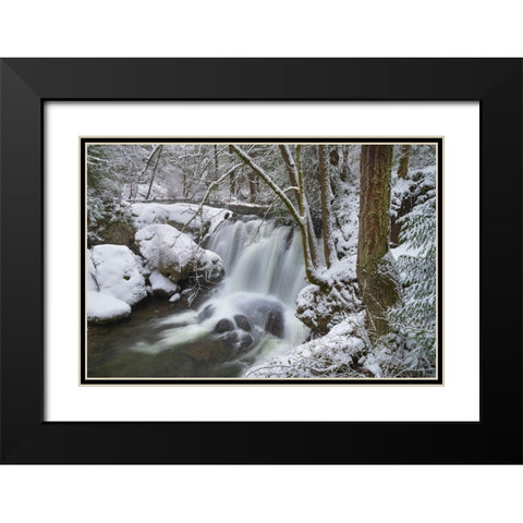 Whatcom Falls after fresh dusting of winter snow Whatcom Falls City Park-Bellingham Black Modern Wood Framed Art Print with Double Matting by Majchrowicz, Alan