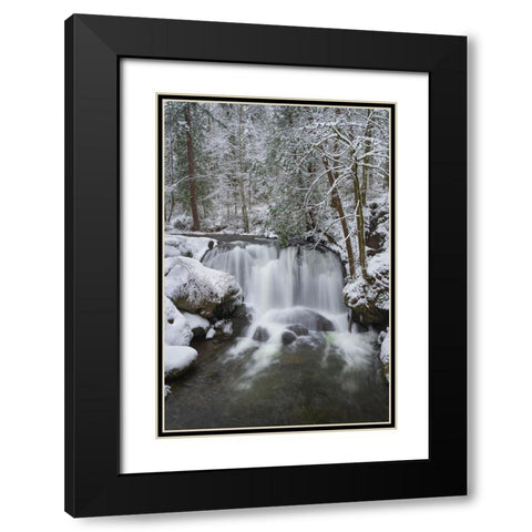 Whatcom Falls after fresh dusting of winter snow Whatcom Falls City Park-Bellingham Black Modern Wood Framed Art Print with Double Matting by Majchrowicz, Alan