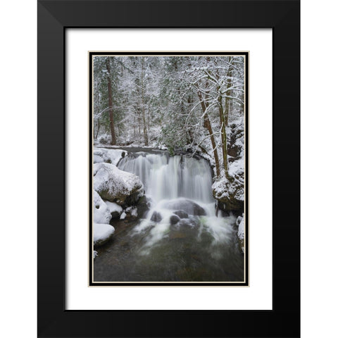 Whatcom Falls after fresh dusting of winter snow Whatcom Falls City Park-Bellingham Black Modern Wood Framed Art Print with Double Matting by Majchrowicz, Alan