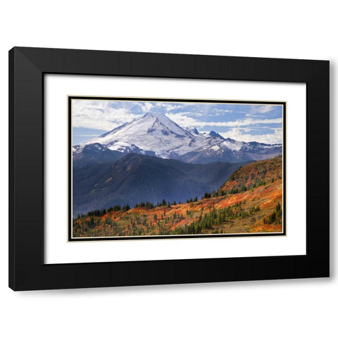 WA, Mount Baker from Yellow Aster Butte Trail Black Modern Wood Framed Art Print with Double Matting by Paulson, Don