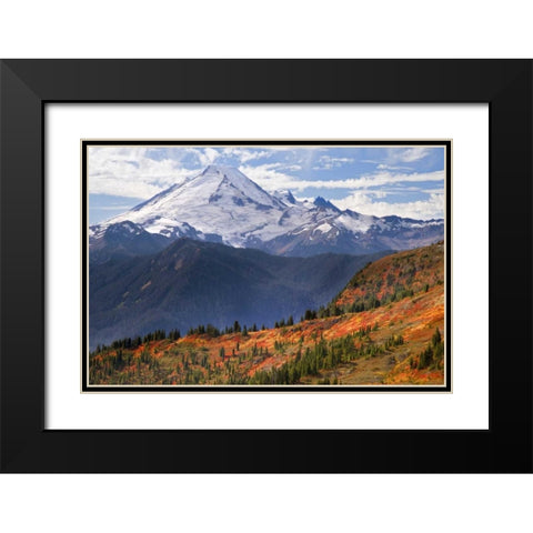 WA, Mount Baker from Yellow Aster Butte Trail Black Modern Wood Framed Art Print with Double Matting by Paulson, Don