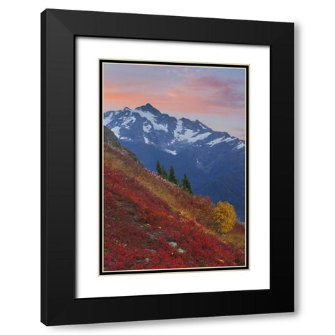 WA, Mount Baker Wilderness View of Mount Shuksan Black Modern Wood Framed Art Print with Double Matting by Paulson, Don