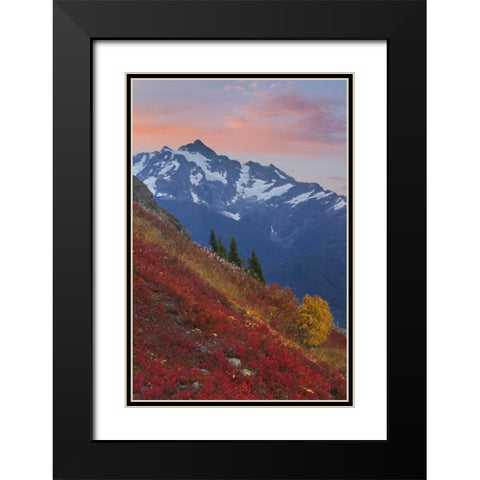 WA, Mount Baker Wilderness View of Mount Shuksan Black Modern Wood Framed Art Print with Double Matting by Paulson, Don