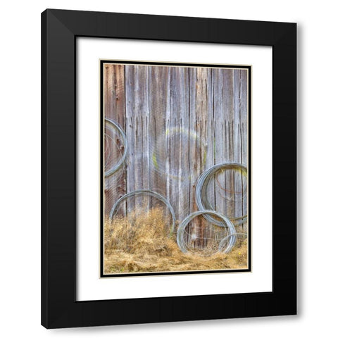 WA, Silverdale Wire coiled on barn wall Black Modern Wood Framed Art Print with Double Matting by Paulson, Don