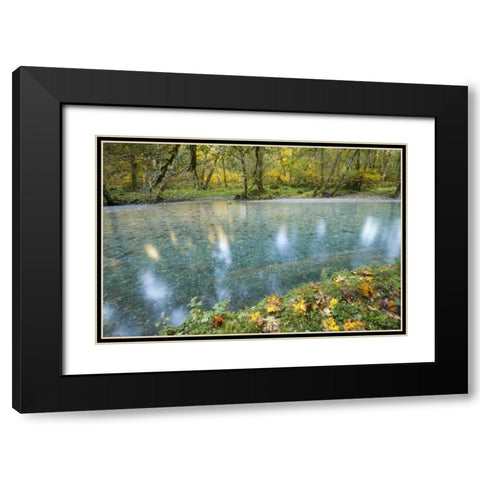 Washington Quinault River in the Olympic NP Black Modern Wood Framed Art Print with Double Matting by Paulson, Don