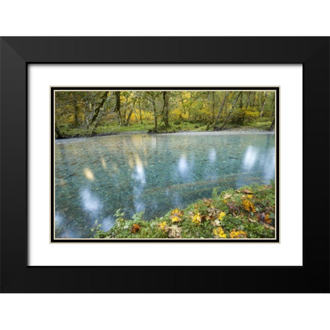 Washington Quinault River in the Olympic NP Black Modern Wood Framed Art Print with Double Matting by Paulson, Don