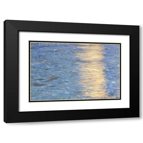Washington Quinault River in the Olympic NP Black Modern Wood Framed Art Print with Double Matting by Paulson, Don