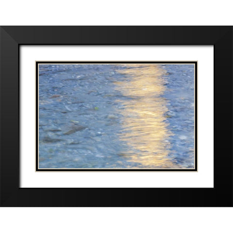 Washington Quinault River in the Olympic NP Black Modern Wood Framed Art Print with Double Matting by Paulson, Don