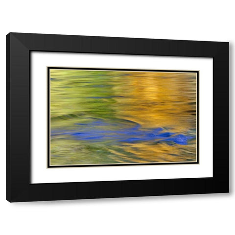 WA, Quinault Autumn reflect in Quinault River Black Modern Wood Framed Art Print with Double Matting by Paulson, Don