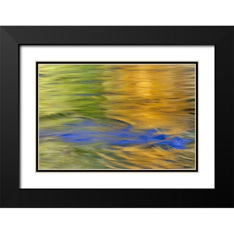 WA, Quinault Autumn reflect in Quinault River Black Modern Wood Framed Art Print with Double Matting by Paulson, Don