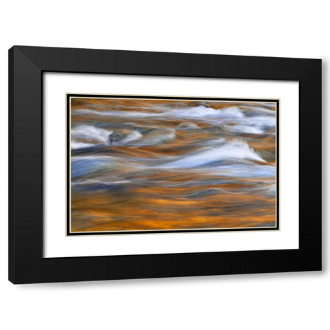WA, Quinault Autumn reflect in Quinault River Black Modern Wood Framed Art Print with Double Matting by Paulson, Don