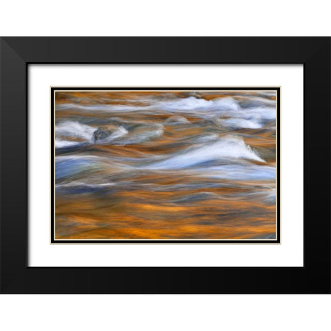 WA, Quinault Autumn reflect in Quinault River Black Modern Wood Framed Art Print with Double Matting by Paulson, Don