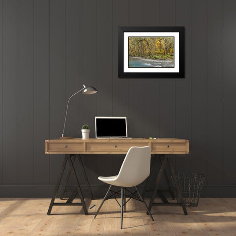 Washington Quinault River in the Olympic NP Black Modern Wood Framed Art Print with Double Matting by Paulson, Don