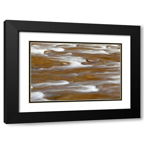 WA, Olympic NP autumn reflects in Solduc River Black Modern Wood Framed Art Print with Double Matting by Paulson, Don