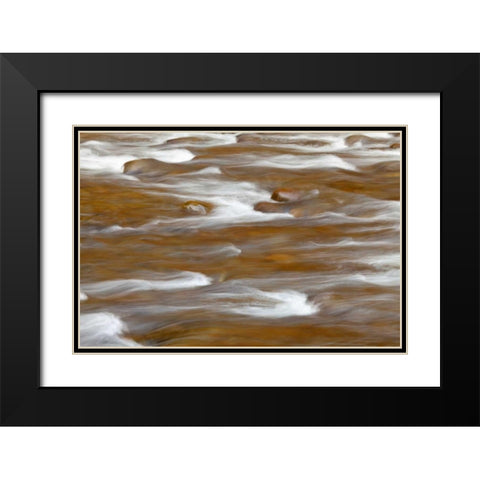WA, Olympic NP autumn reflects in Solduc River Black Modern Wood Framed Art Print with Double Matting by Paulson, Don
