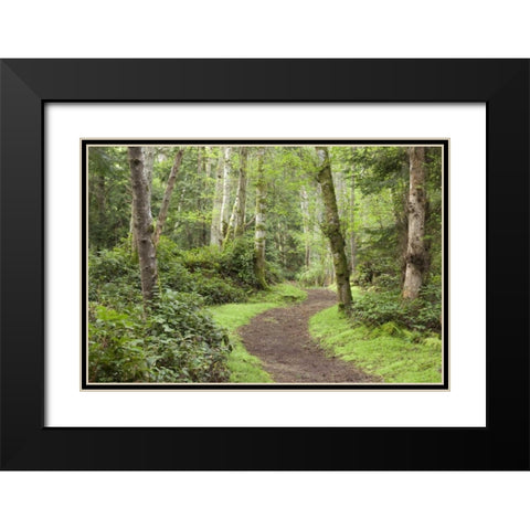 WA, San Juans, Stuart Island Trail through woods Black Modern Wood Framed Art Print with Double Matting by Paulson, Don