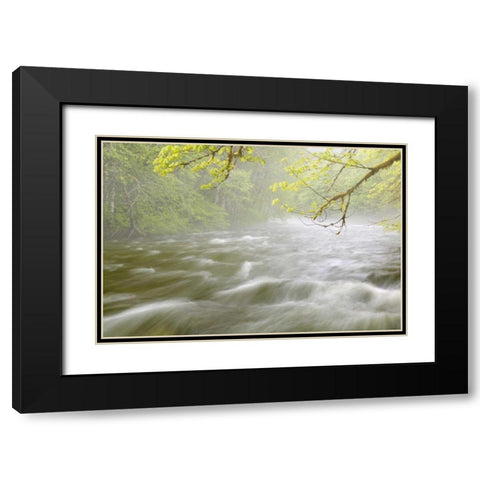 WA, Cascade Mts Cascading water in Beckler River Black Modern Wood Framed Art Print with Double Matting by Paulson, Don