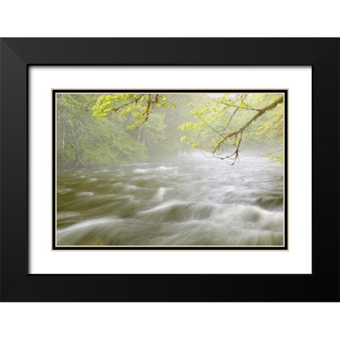 WA, Cascade Mts Cascading water in Beckler River Black Modern Wood Framed Art Print with Double Matting by Paulson, Don
